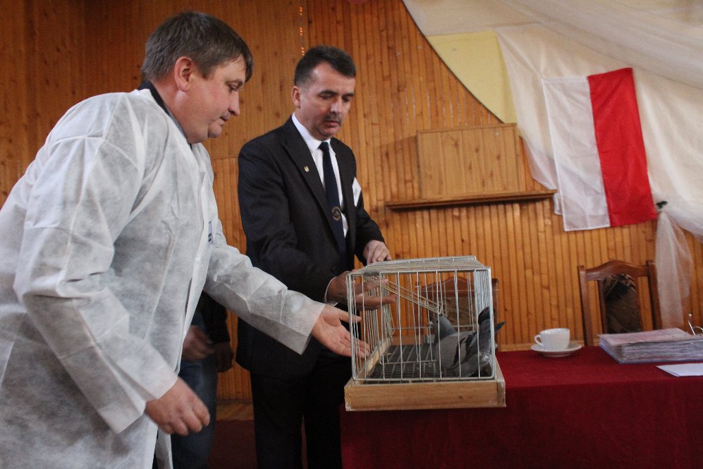 Wystawa Gołębi Pocztowych