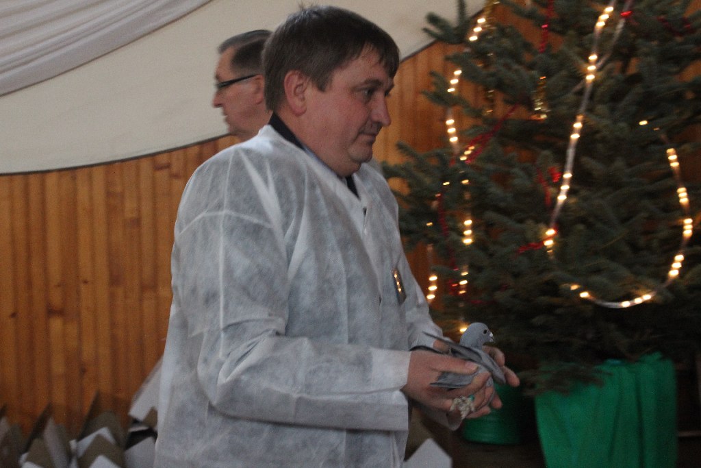 Wystawa Gołębi Pocztowych