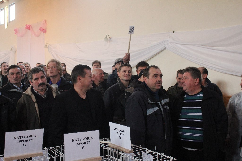Wystawa Gołębi Pocztowych