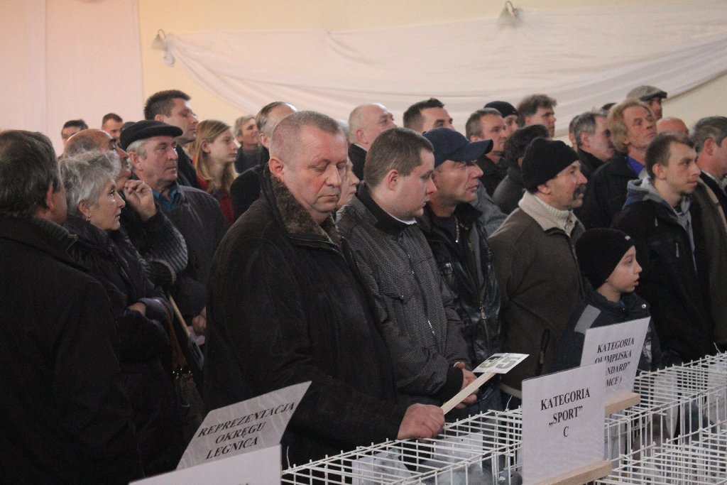 Wystawa Gołębi Pocztowych