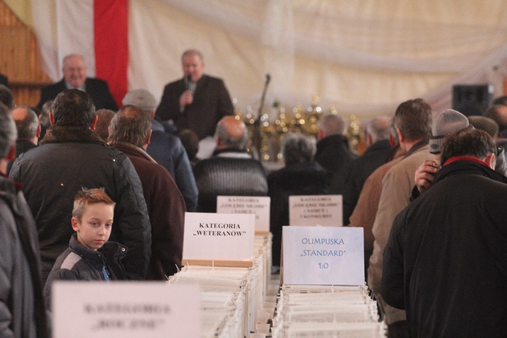 Wystawa Gołębi Pocztowych