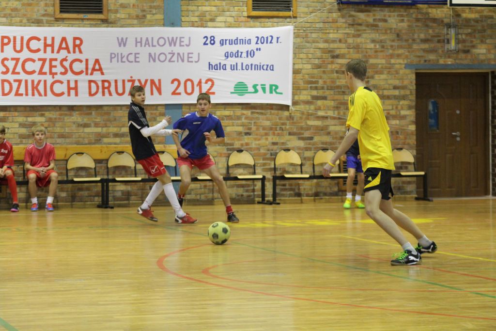 Puchar szczęścia dzikich drużyn