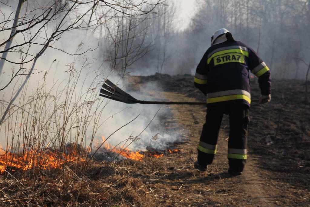 Interwencje straży pożarnej w 2012 roku