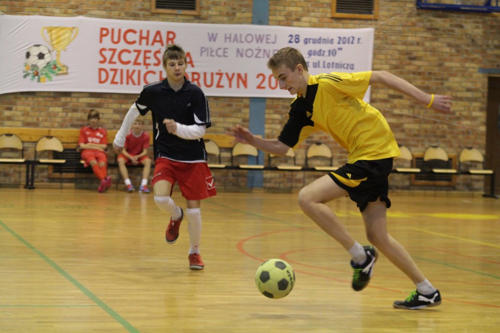 Puchar szczęścia dzikich drużyn