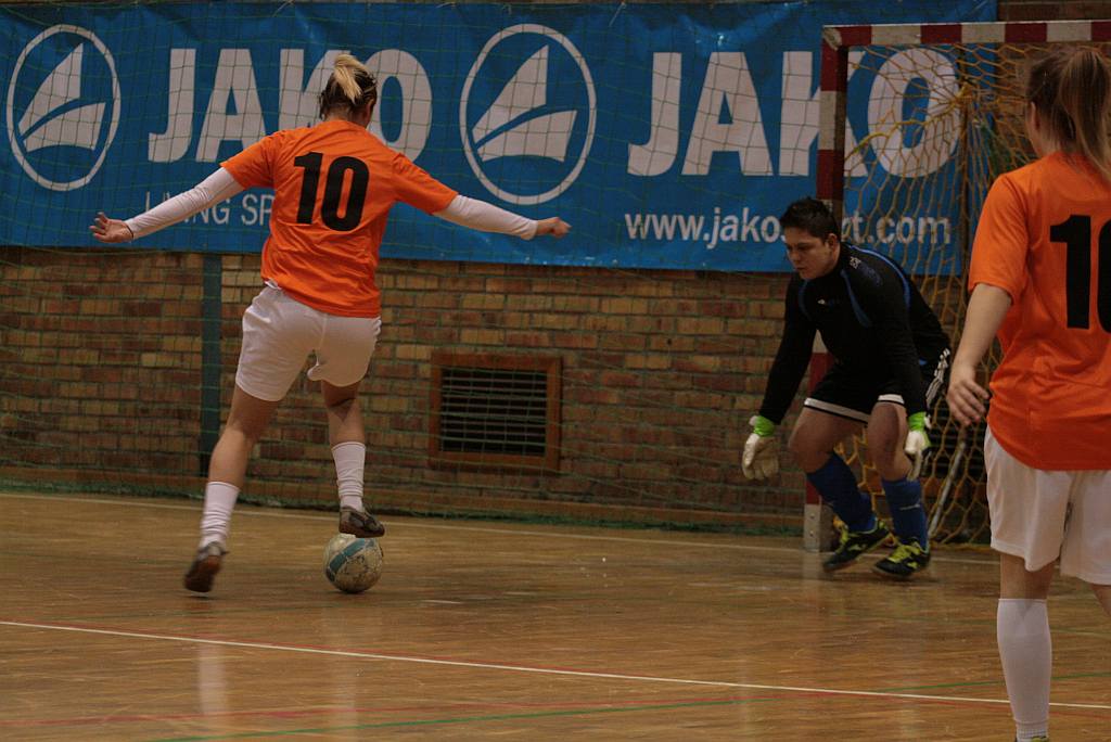 Mecz pokazowy: Becher -  Zagłębie Lubin Kobiety. 9:9