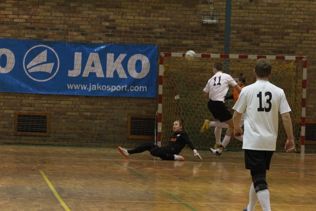 Mecz pokazowy: Becher -  Zagłębie Lubin Kobiety. 9:9