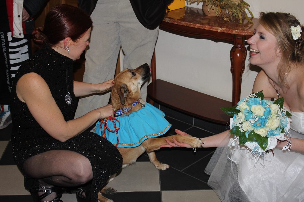 Ślub artystów Teatru Avatar