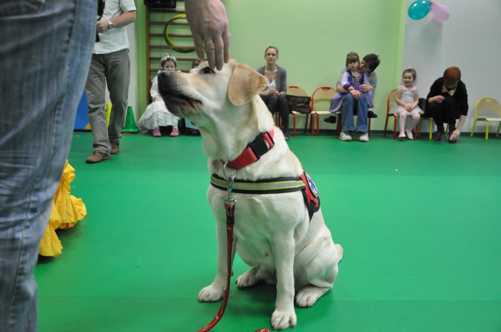 Psiakowy Bal Karnawałowy dla Dzieci