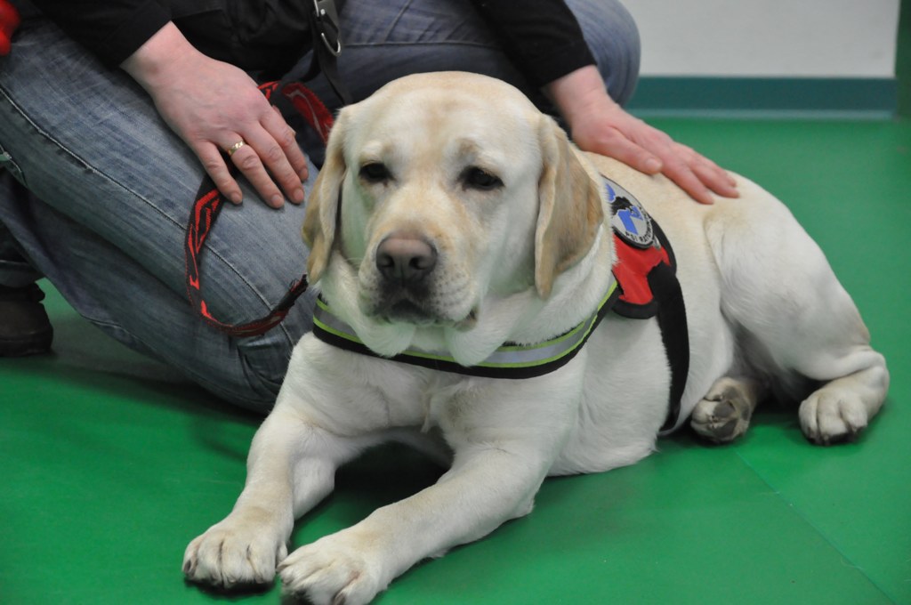 Psiakowy Bal Karnawałowy dla Dzieci