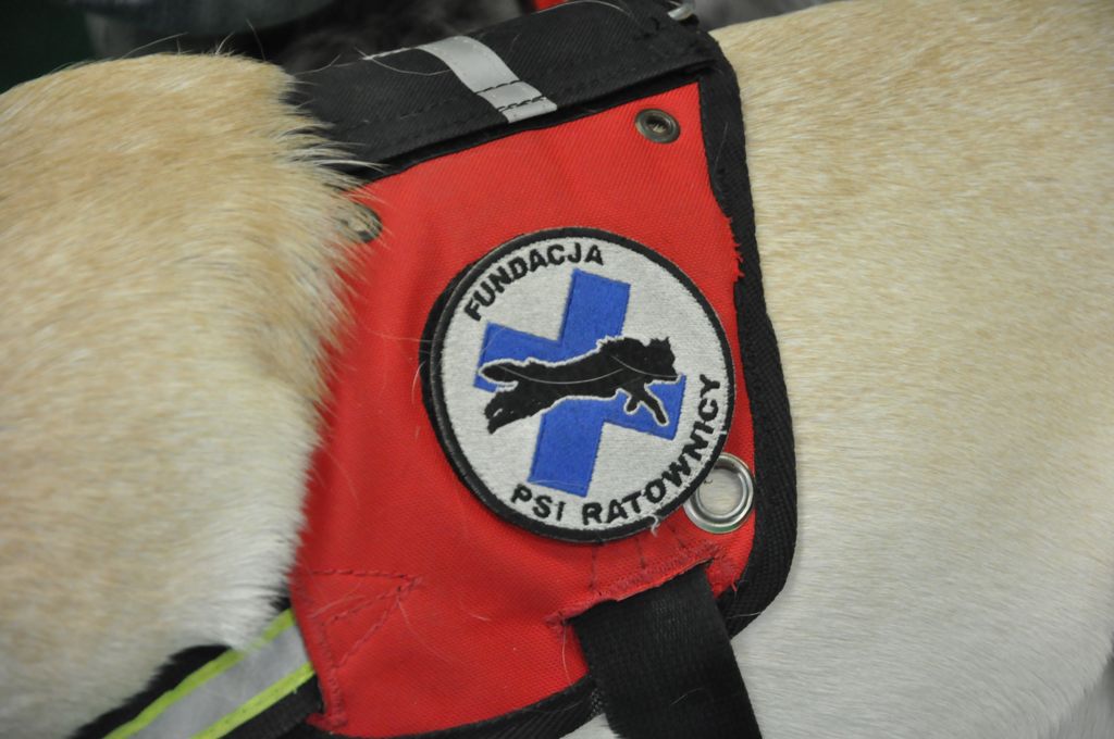 Psiakowy Bal Karnawałowy dla Dzieci