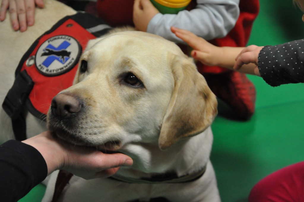 Psiakowy Bal Karnawałowy dla Dzieci