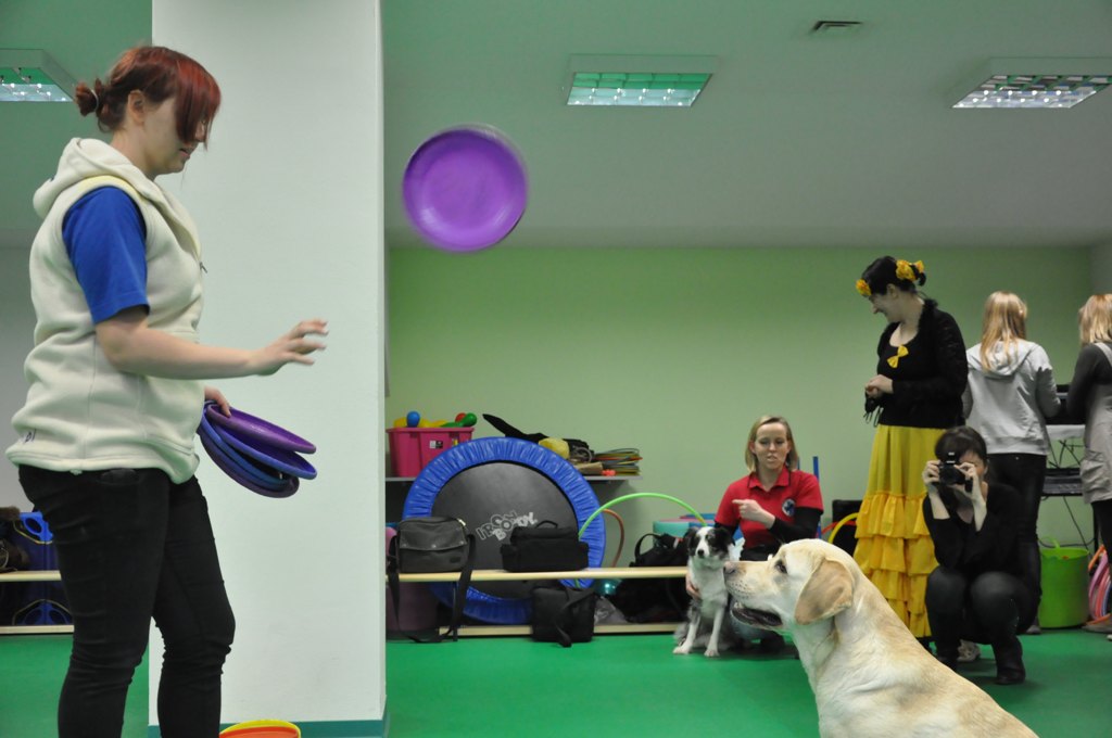 Psiakowy Bal Karnawałowy dla Dzieci