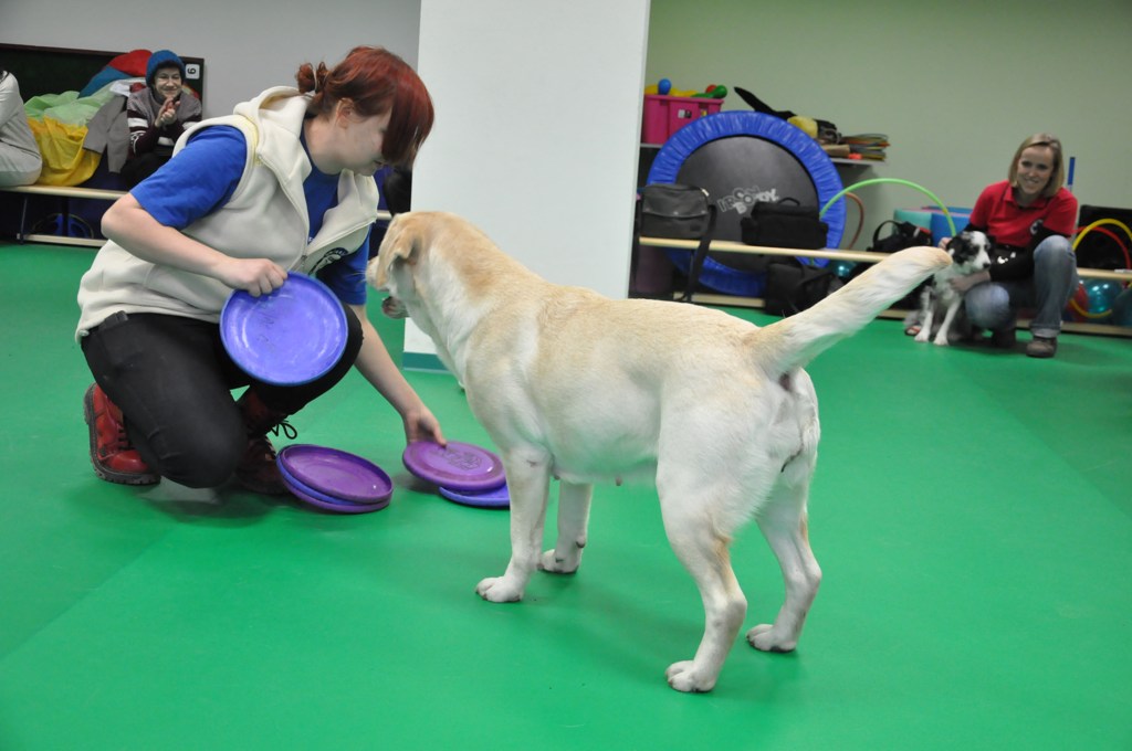 Psiakowy Bal Karnawałowy dla Dzieci