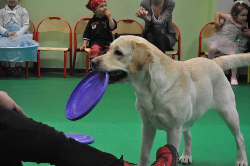 Psiakowy Bal Karnawałowy dla Dzieci