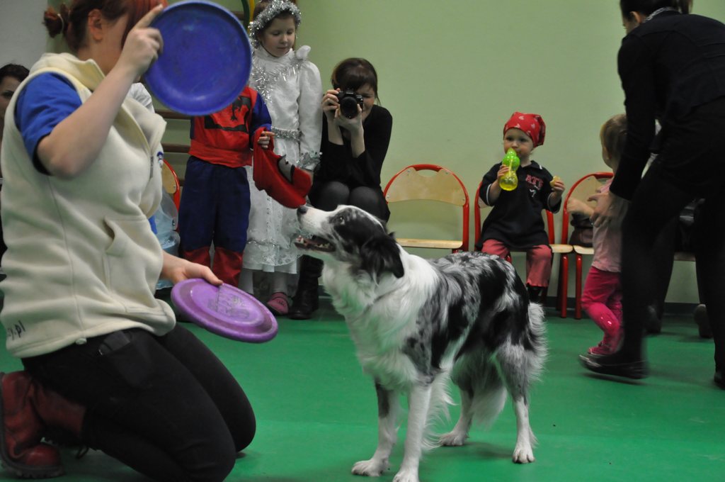 Psiakowy Bal Karnawałowy dla Dzieci