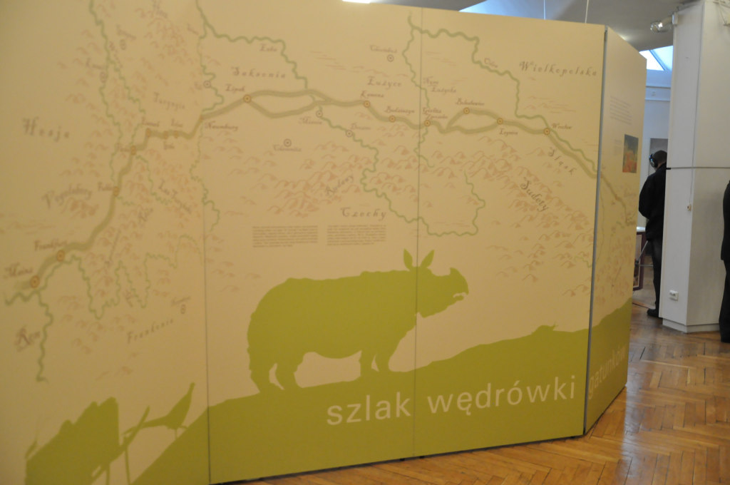 VIA REGIA - Szlak Wędrówki Gatunków w Muzeum Miedzi