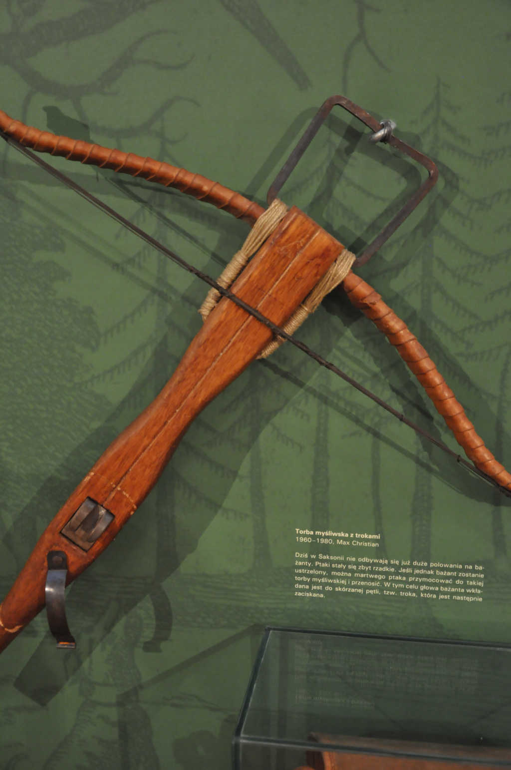 VIA REGIA - Szlak Wędrówki Gatunków w Muzeum Miedzi