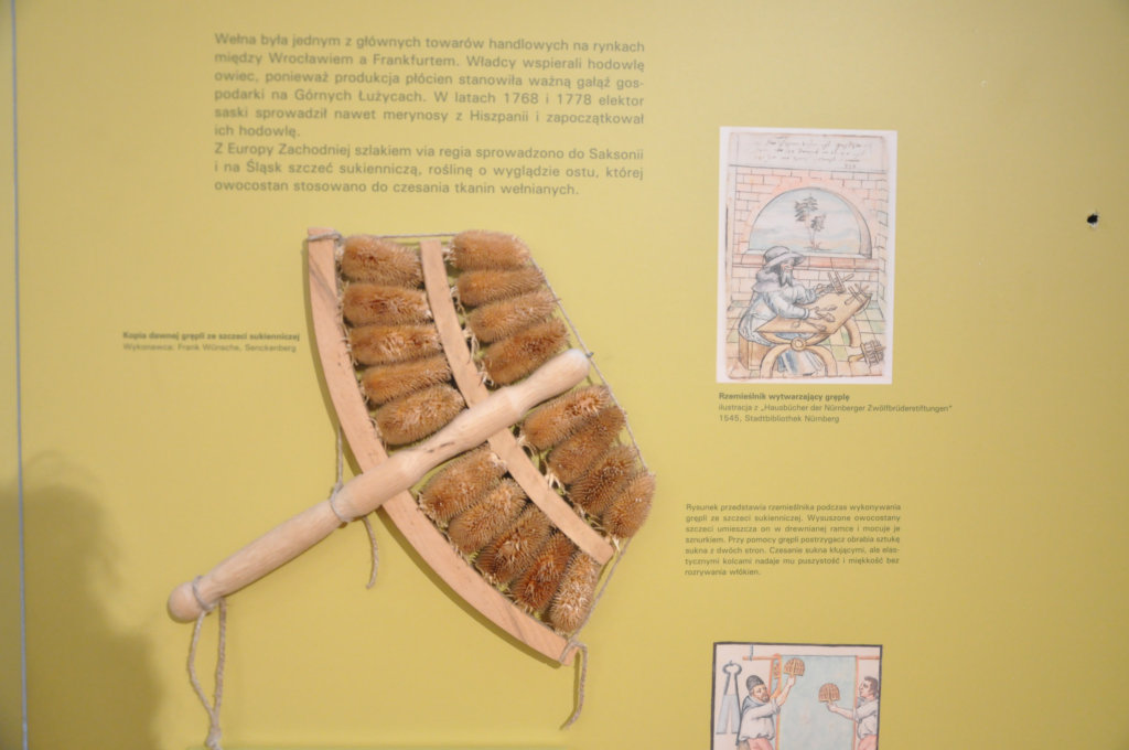 VIA REGIA - Szlak Wędrówki Gatunków w Muzeum Miedzi