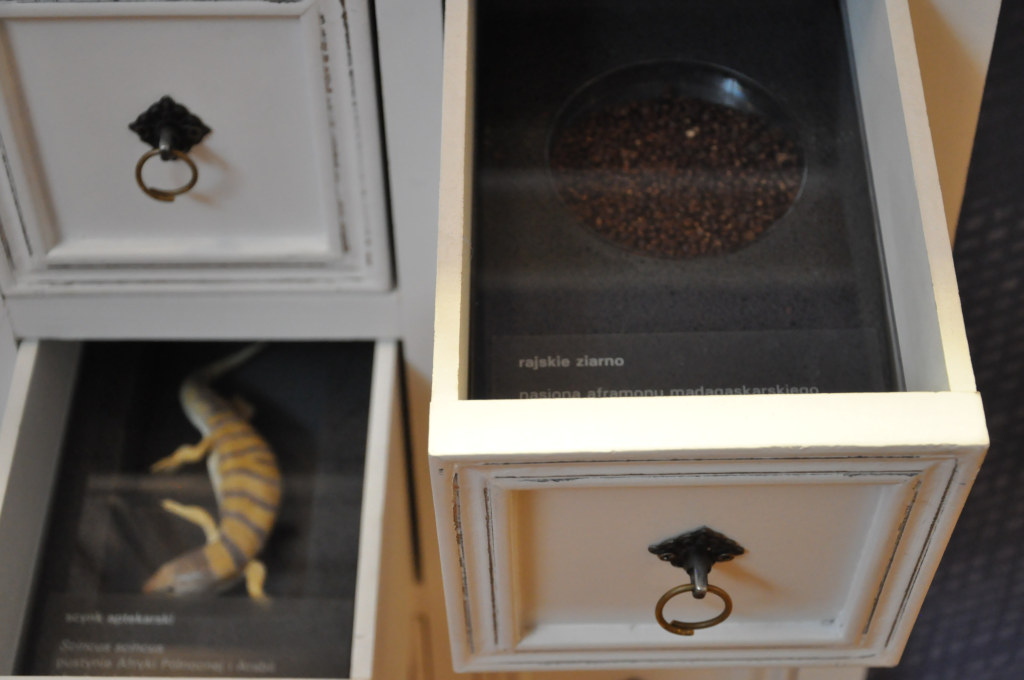 VIA REGIA - Szlak Wędrówki Gatunków w Muzeum Miedzi