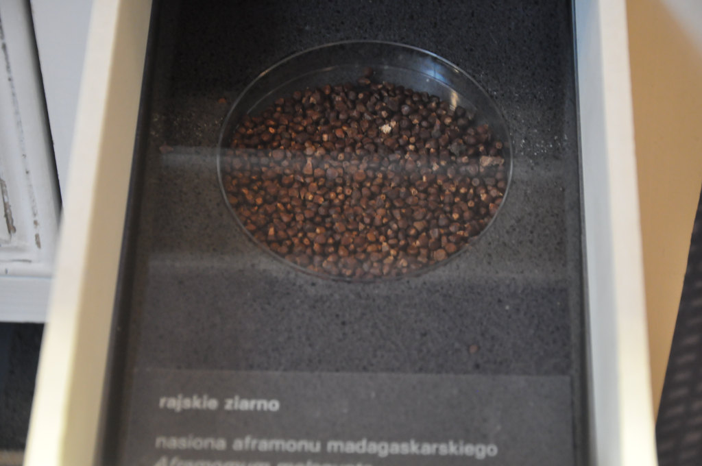 VIA REGIA - Szlak Wędrówki Gatunków w Muzeum Miedzi