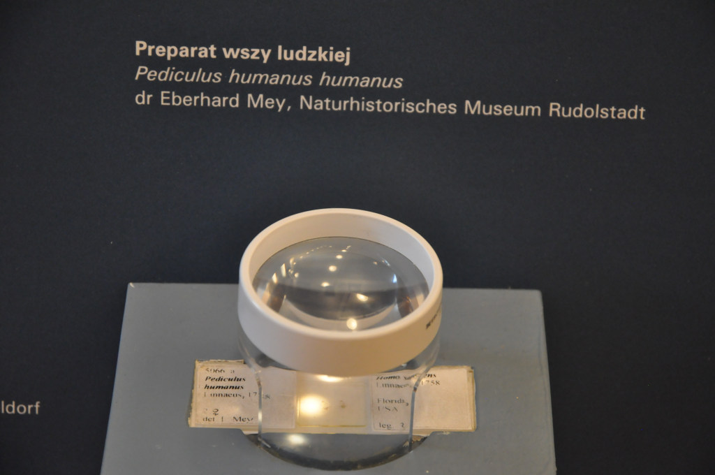 VIA REGIA - Szlak Wędrówki Gatunków w Muzeum Miedzi