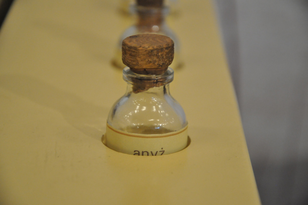 VIA REGIA - Szlak Wędrówki Gatunków w Muzeum Miedzi