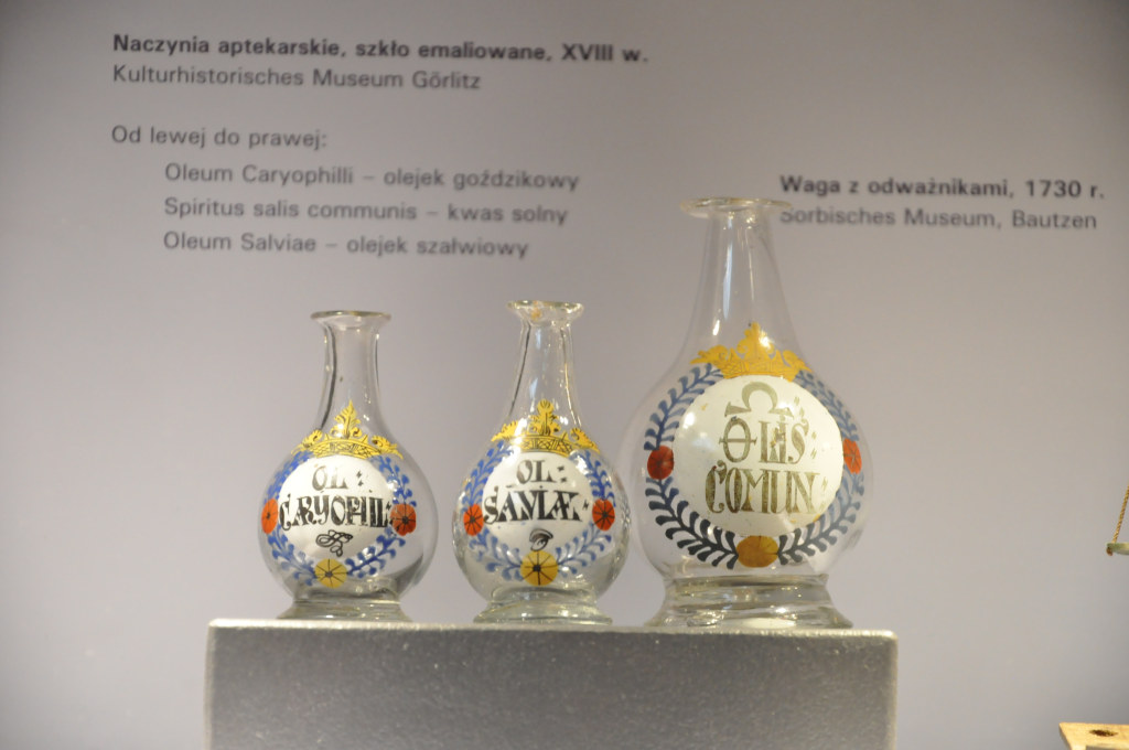 VIA REGIA - Szlak Wędrówki Gatunków w Muzeum Miedzi