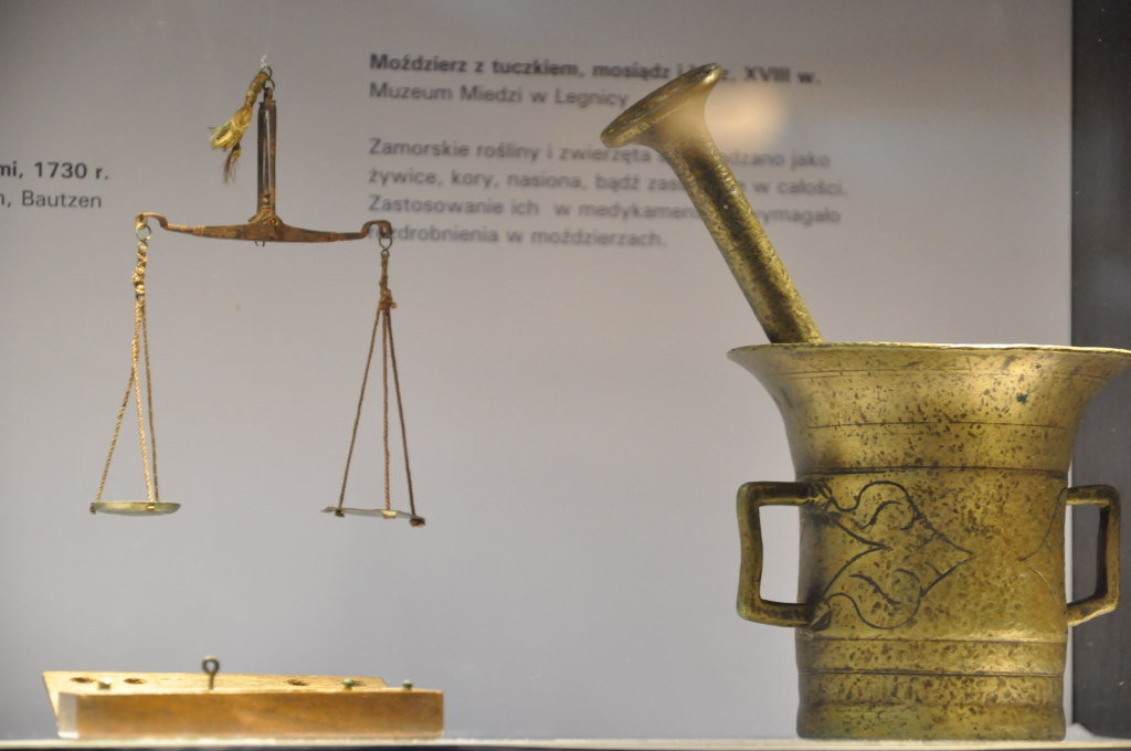 VIA REGIA - Szlak Wędrówki Gatunków w Muzeum Miedzi