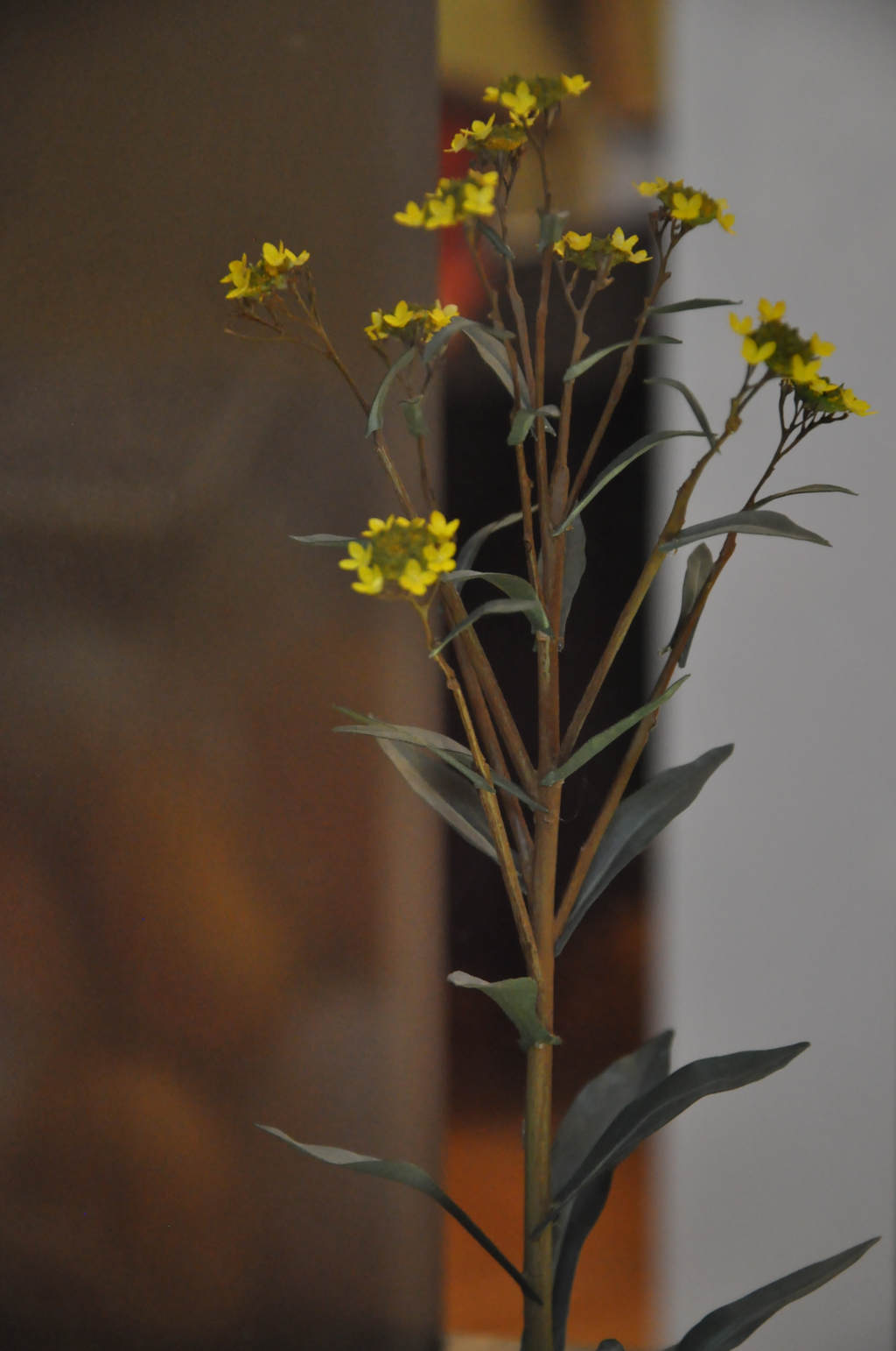 VIA REGIA - Szlak Wędrówki Gatunków w Muzeum Miedzi