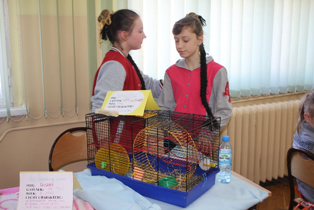 Dzień Otwarty w SP 6