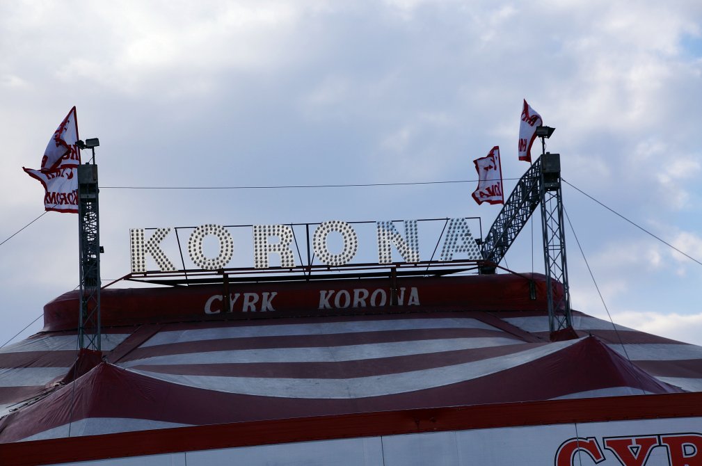 Teatr Avatar manifestował przed cyrkiem