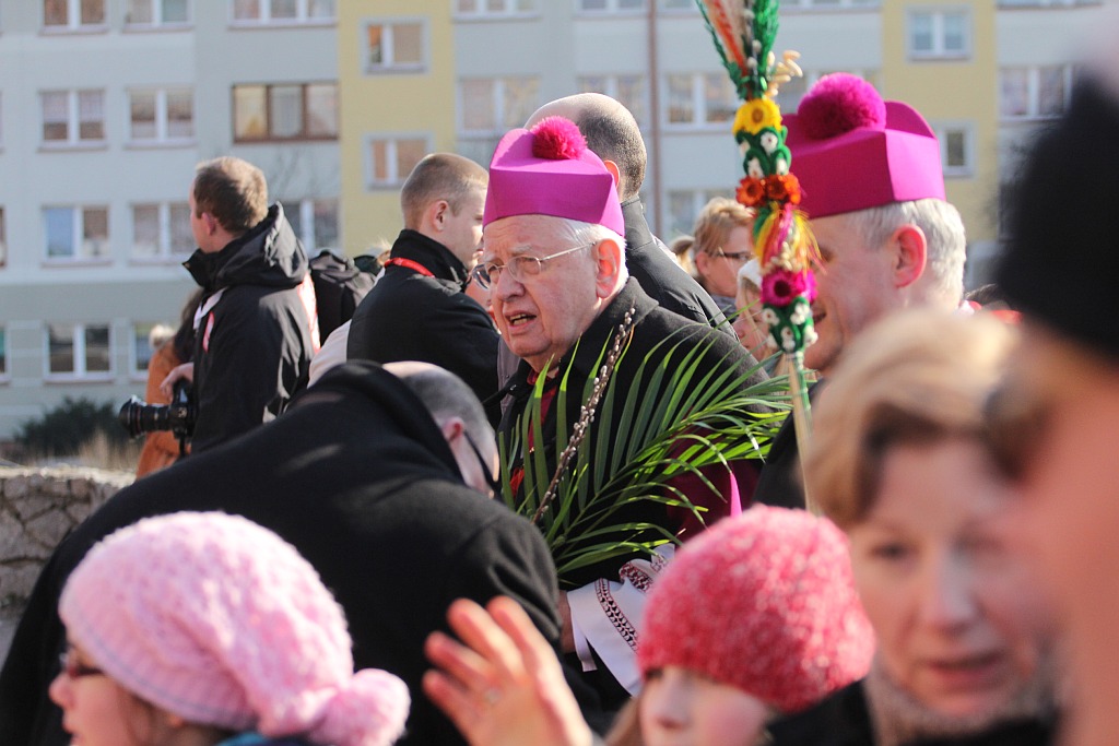 Marsz dla życia