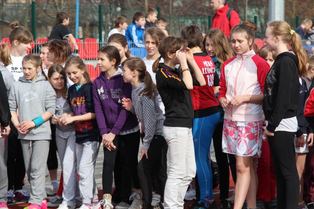 Wybiegali tytuły przełajowych mistrzów Legnicy