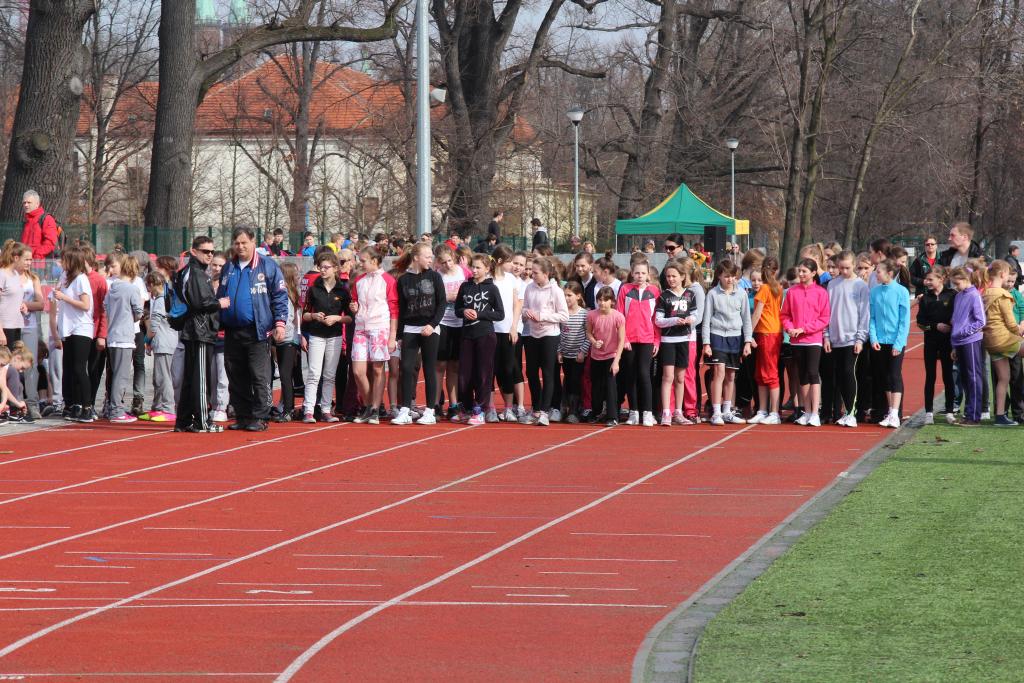 Wybiegali tytuły przełajowych mistrzów Legnicy