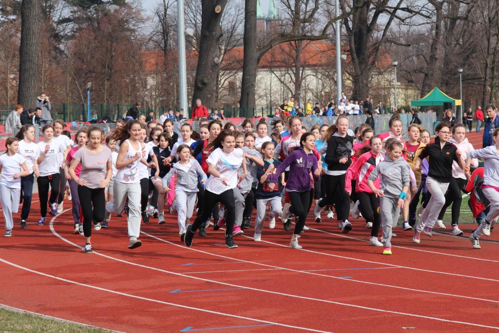 Wybiegali tytuły przełajowych mistrzów Legnicy