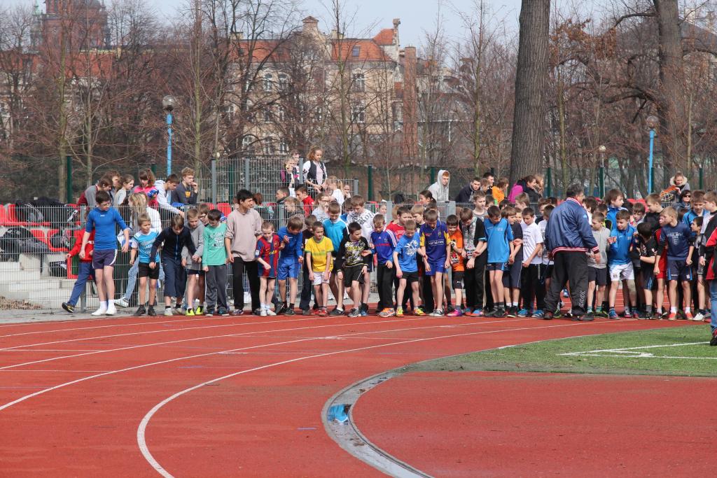 Wybiegali tytuły przełajowych mistrzów Legnicy