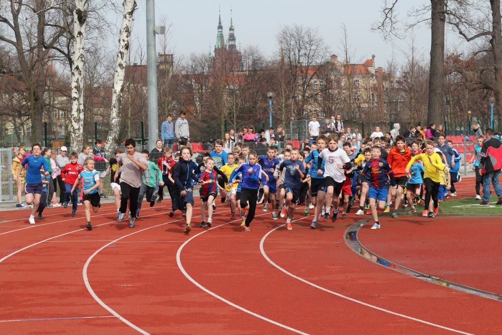 Wybiegali tytuły przełajowych mistrzów Legnicy