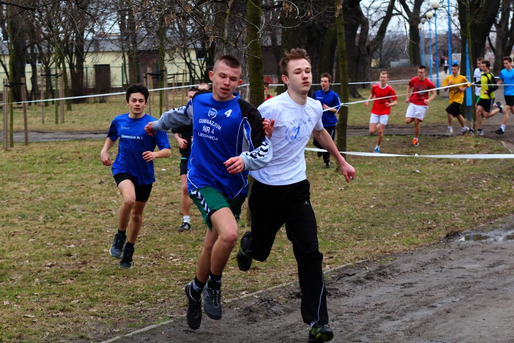 Wybiegali tytuły przełajowych mistrzów Legnicy