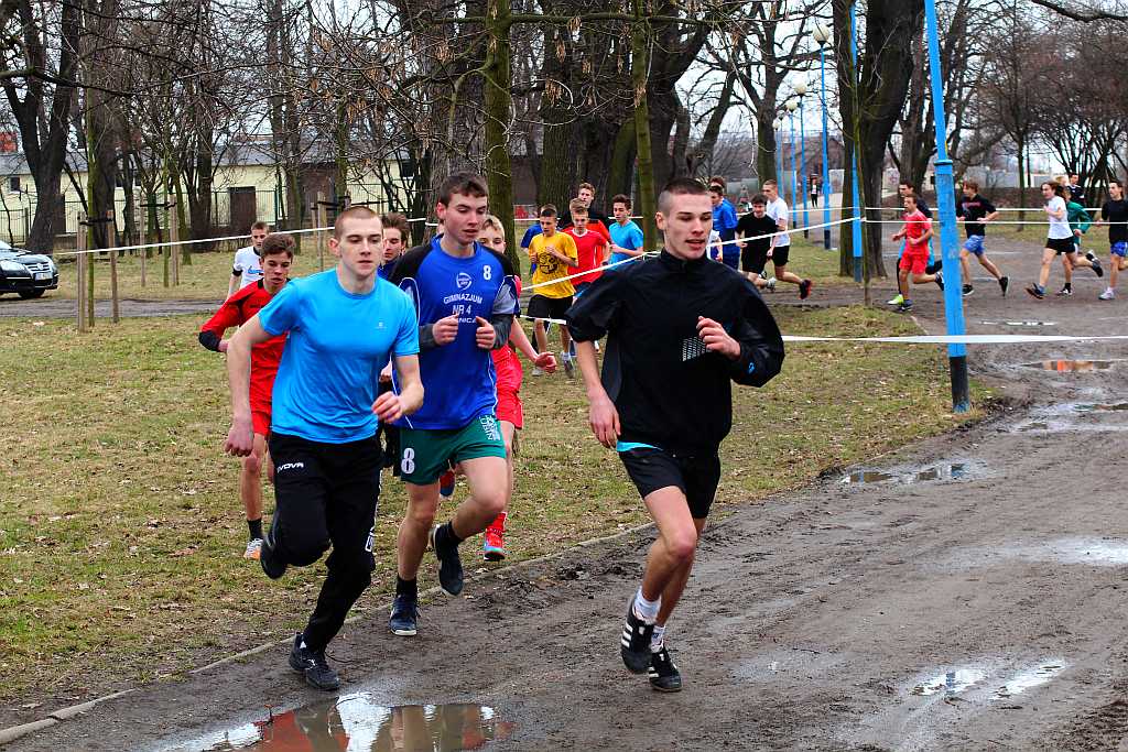 Wybiegali tytuły przełajowych mistrzów Legnicy