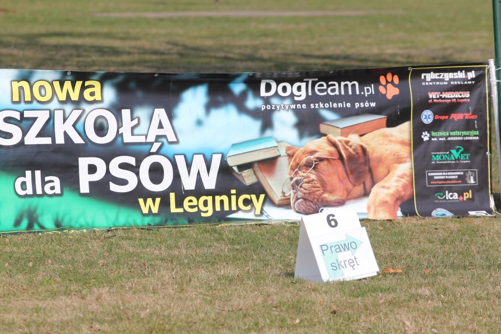 Zawody Psiego Posłuszeństwa