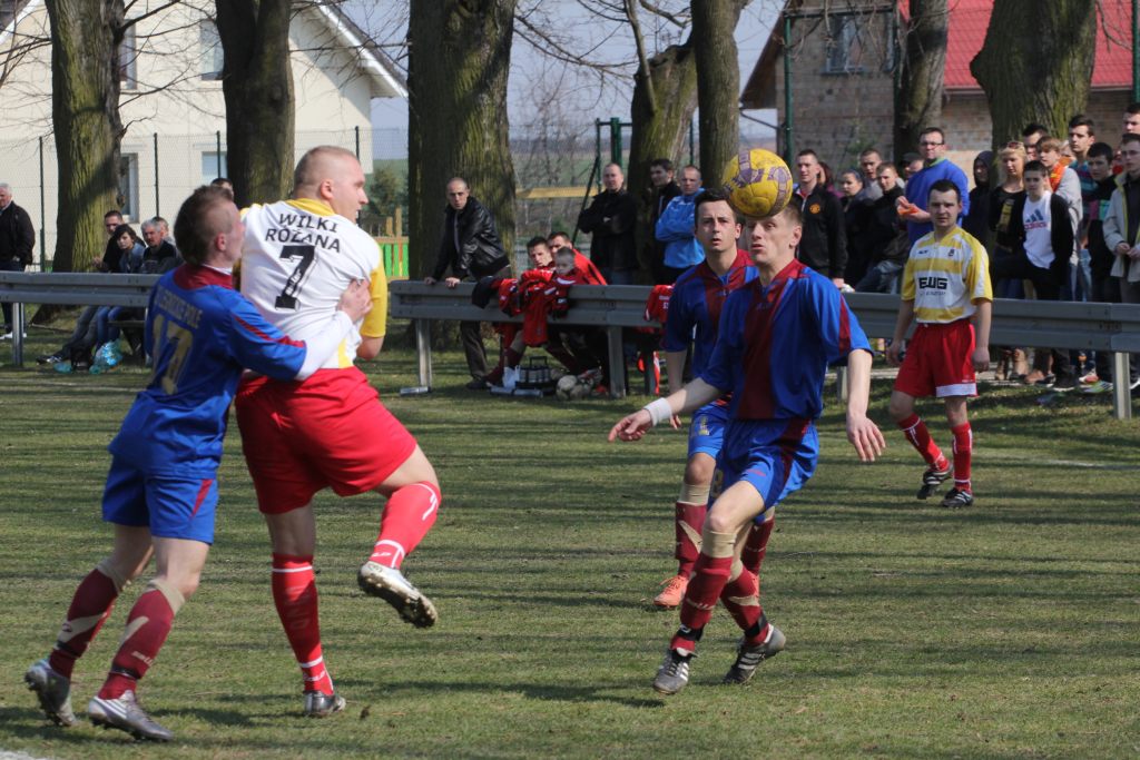 KS Legnickie Pole - Wilki 1:1