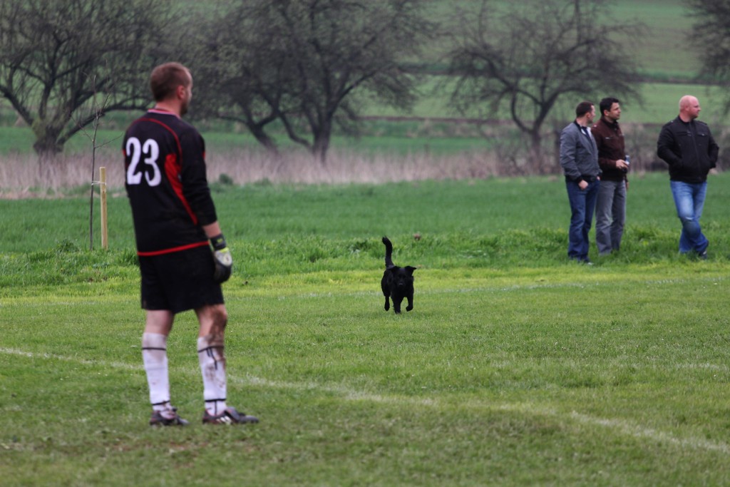 Klasa B: Nysa - Albatros 1:3