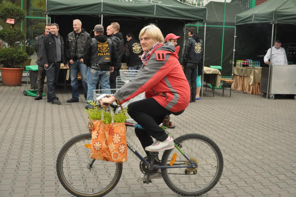 Majówka w Centrum Ogrodniczym Majewscy