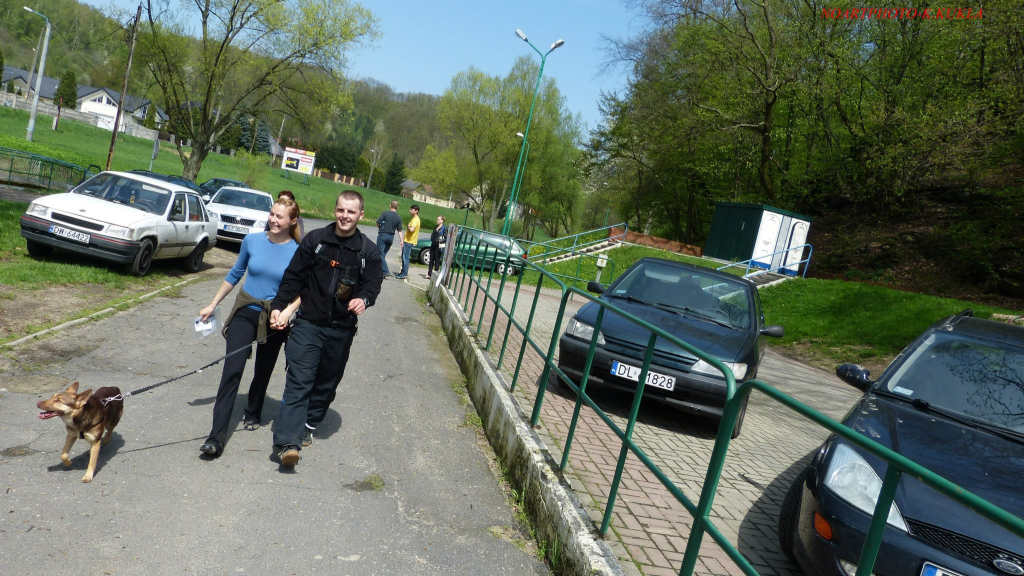 Zawody dogtrekkingowe w Złotoryi