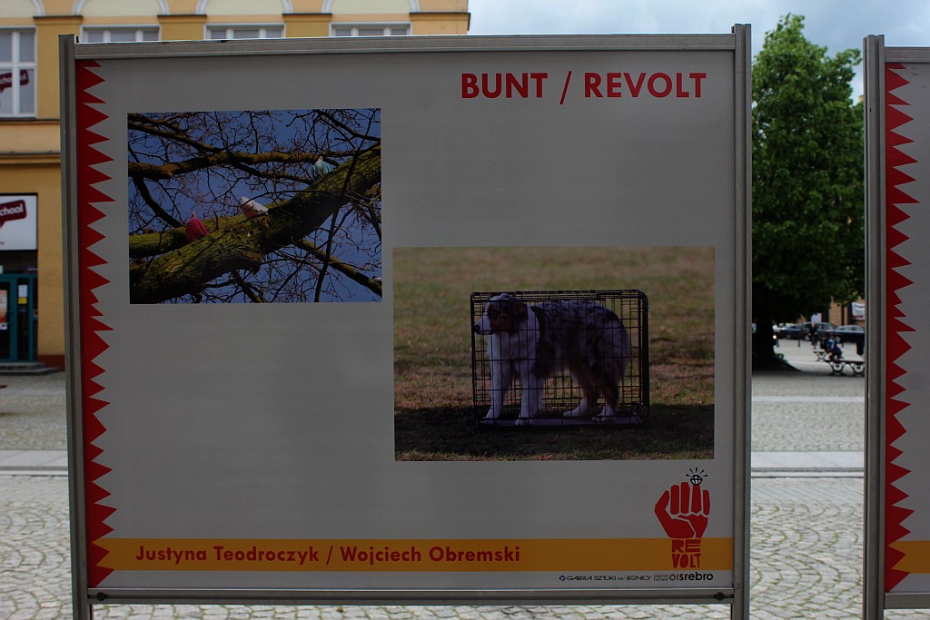 Bunt na zdjęciach fotoreporterów