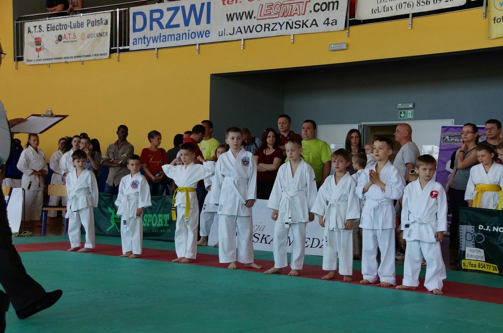 Mistrzostwa w karate WKF