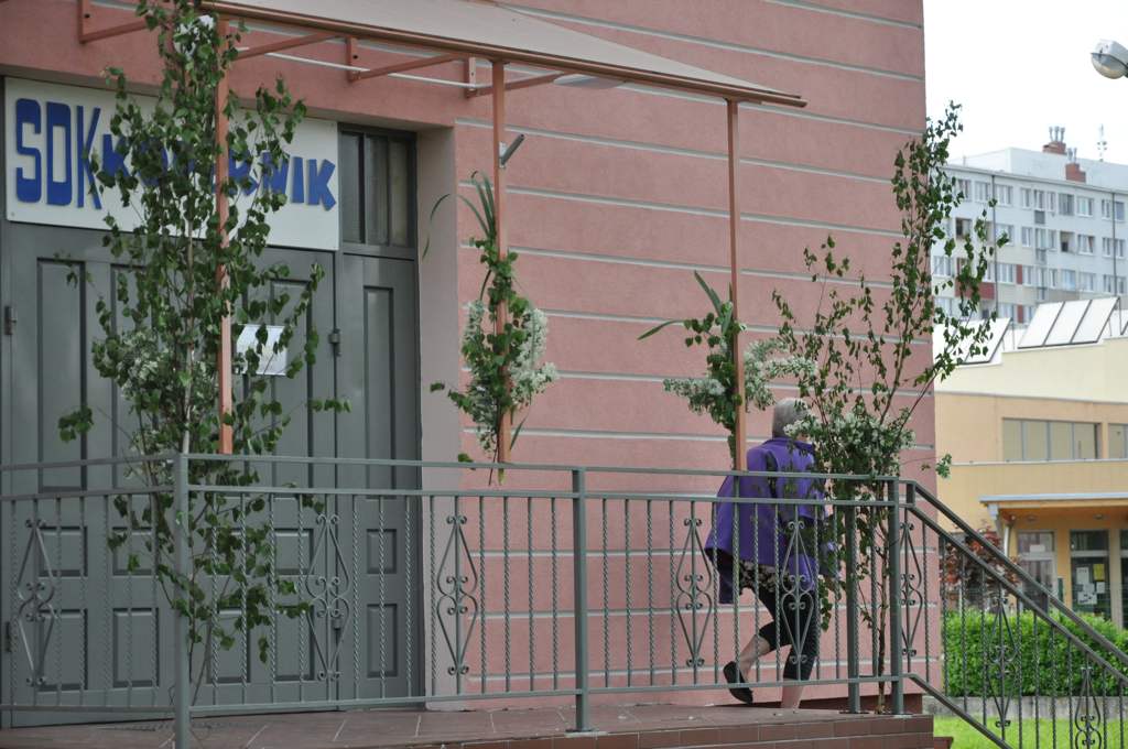 Zielone Świątki w SDK Kopernik