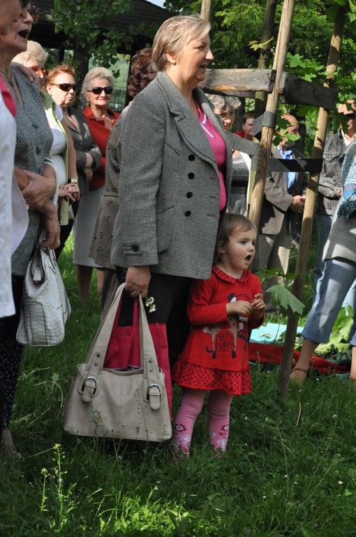 Zielone Świątki w SDK Kopernik