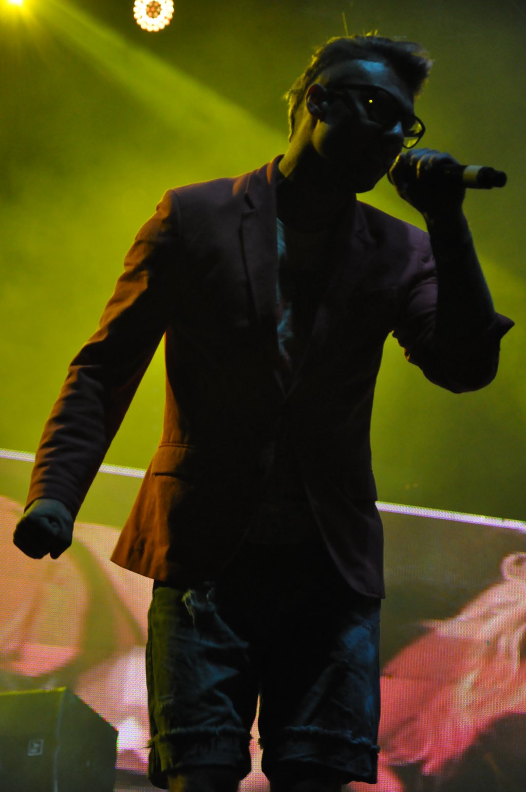 Juwenalia 2013 cz4