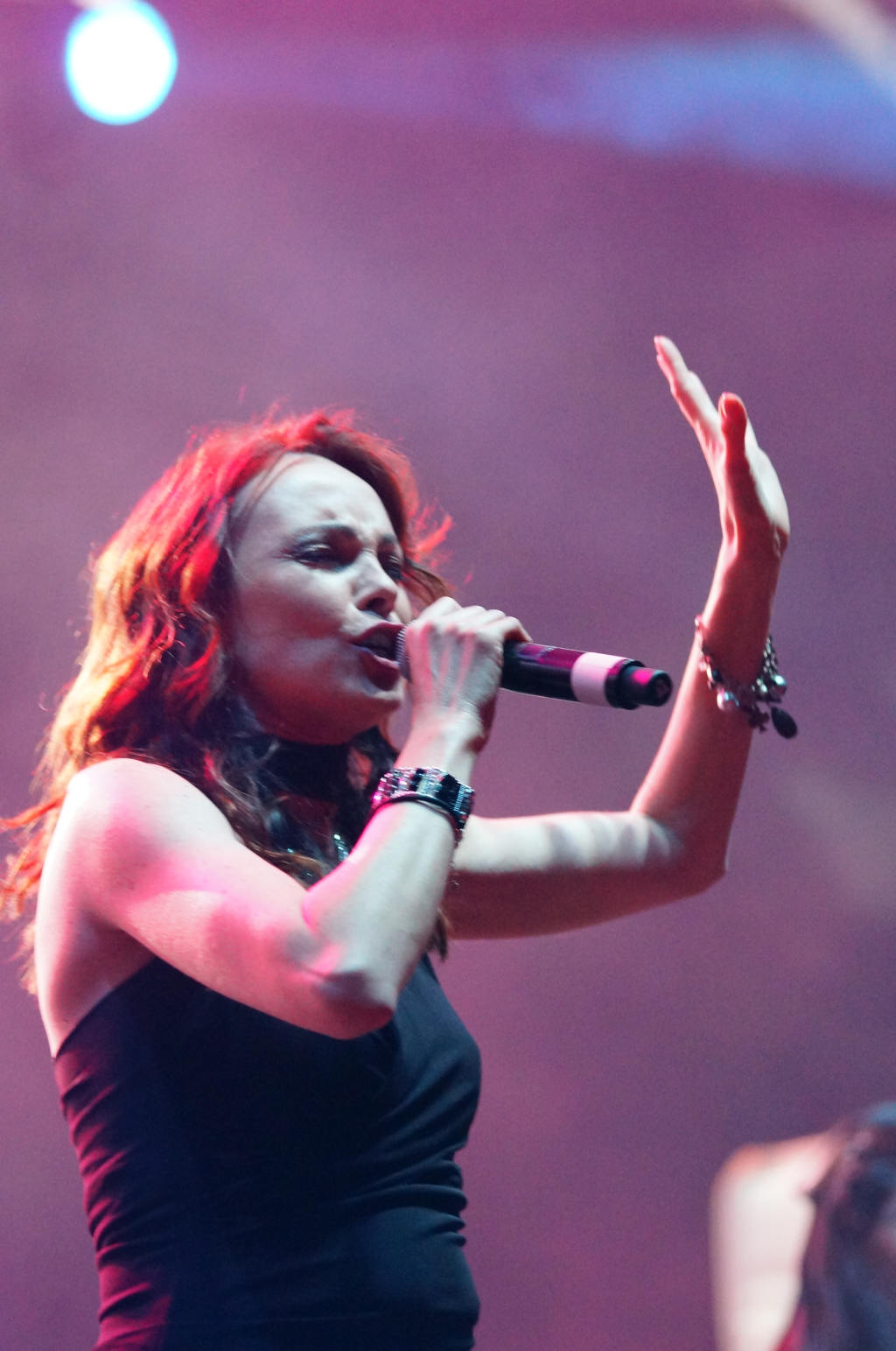 Juwenalia 2013 cz14